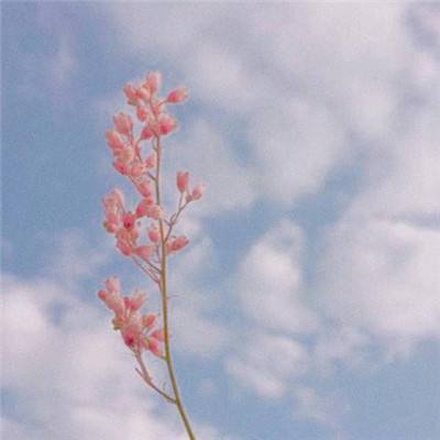 购彩中心手机app下载