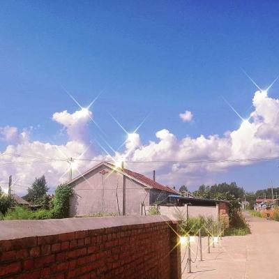 B体育手机版在线app下载